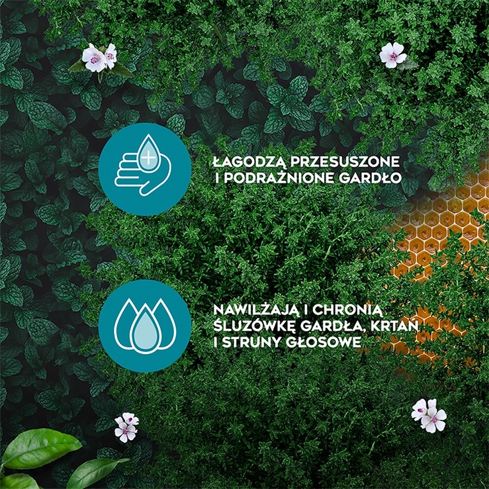 Amolowe na gardło, pastylki do ssania, z miodem i witaminą C, 16 pastylek