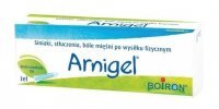 Arnigel żel x 45 g