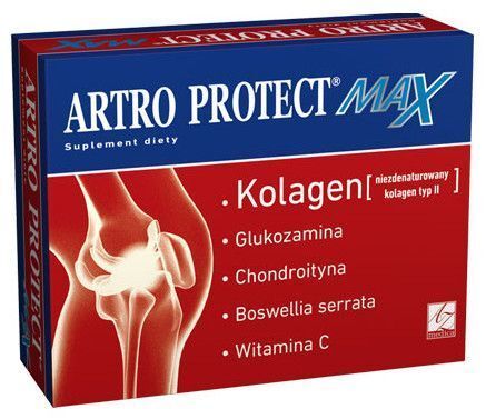 Artro Protect MAX x 60 kaps.