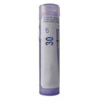 Boiron Sulfur 30 CH, 1 g
