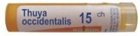 Boiron Thuya occidentalis 15 CH, granulki, 4 g