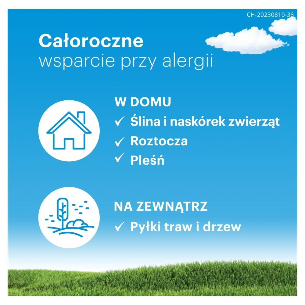 Claritine Active, 5 mg + 120 mg, tabletki o przedłużonym uwalnianiu, 6 tabletek