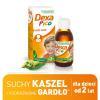 DexaPico, (1625 mg + 6,5 mg)/5ml, syrop, 115 ml