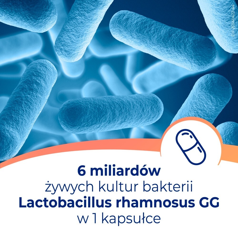 Dicoflor 6 Suplement diety probiotyk 5,4 g (20 x 0,27 g)