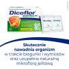 Dicoflor Żywność specjalnego przeznaczenia medycznego elektrolity 40,8 g (12 sztuk)