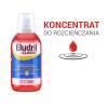 ELUDRIL CLASSIC Płyn 500 ml