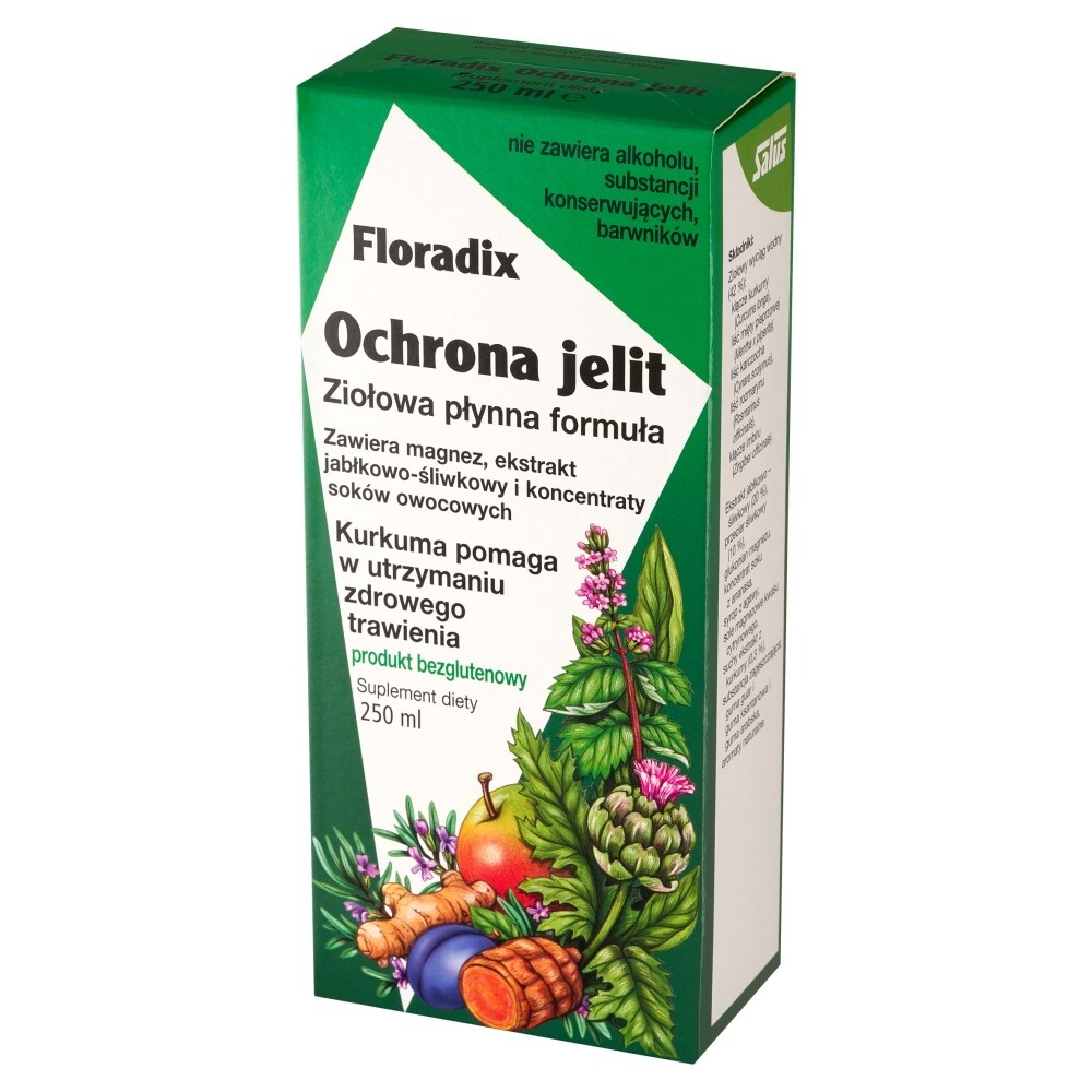 Floradix Ochrona Jelit, płyn, 250 ml