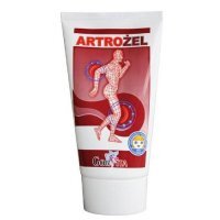 Gorvita, Artrożel, 100 ml