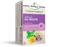 Herbapol Dla Trzustki, herbatka fix, 2 g x 20 saszetek