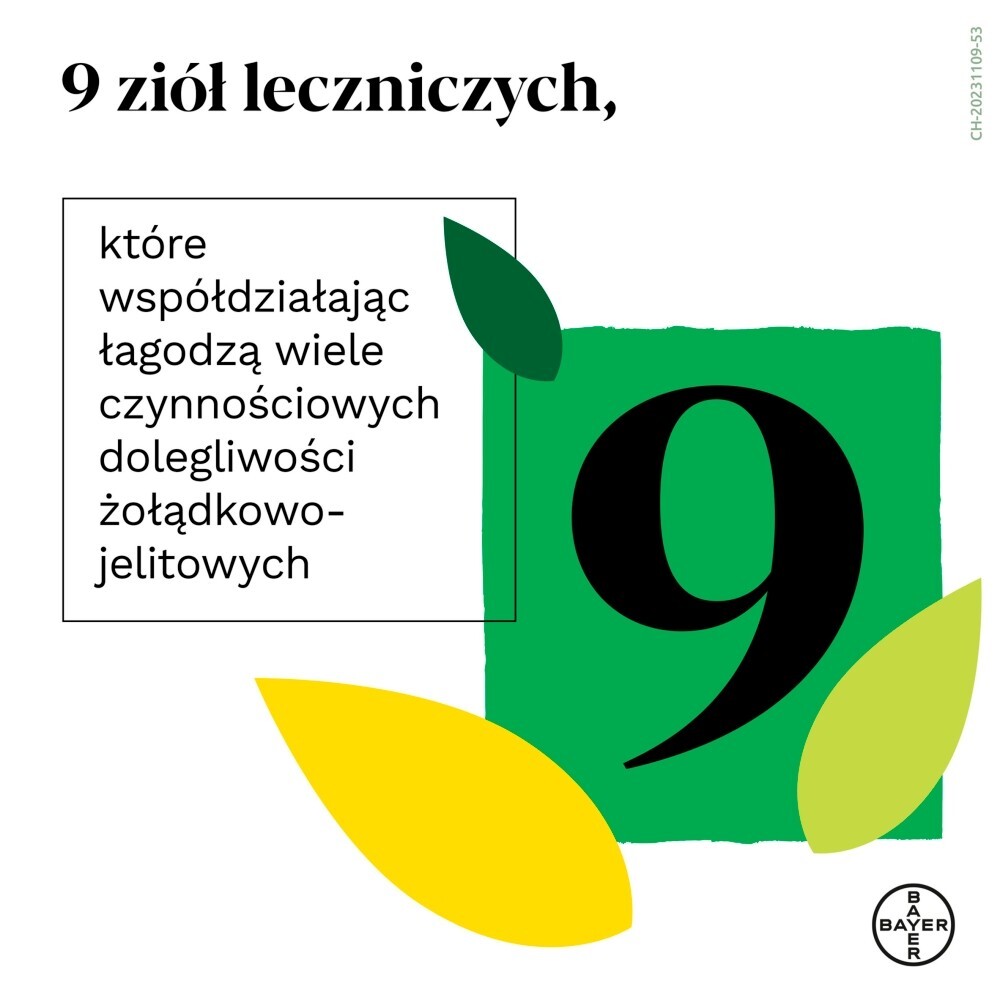 Iberogast, płyn doustny, 20 ml