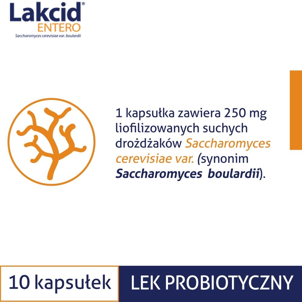 Lakcid Entero, 250 mg, kapsułki twarde, 10 kapsułek