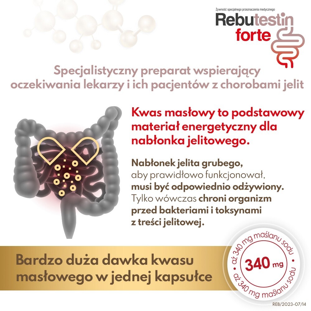Rebutestin Forte, 60 kapsułek