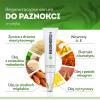 Regenerum Serum regenerujące do paznokci, 5 ml
