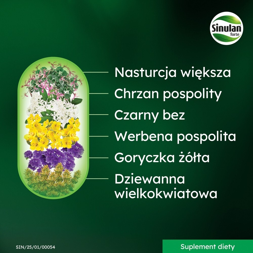 Sinulan Duo Forte, tabletki powlekane, 60 tabletek