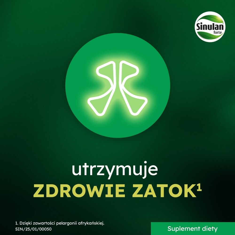 Sinulan Forte, tabletki powlekane, 60 tabletek