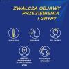 Theraflu ExtraGRIP, 650mg+10mg+20mg, proszek w saszetkach do sporządzania roztworów doustnych, 10 sztuk