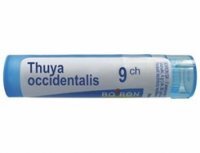 Thuya Occidentalis 9 CH granulki 4 g